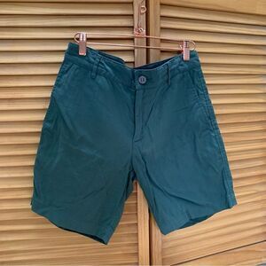 Outlier Green Shorts Size 29